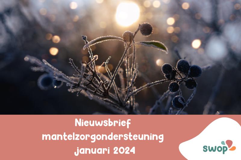 afbeelding bij nieuwsbericht nieuwsbrief